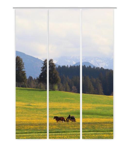Auf dem Weg, Flächenvorhang 3er Set
